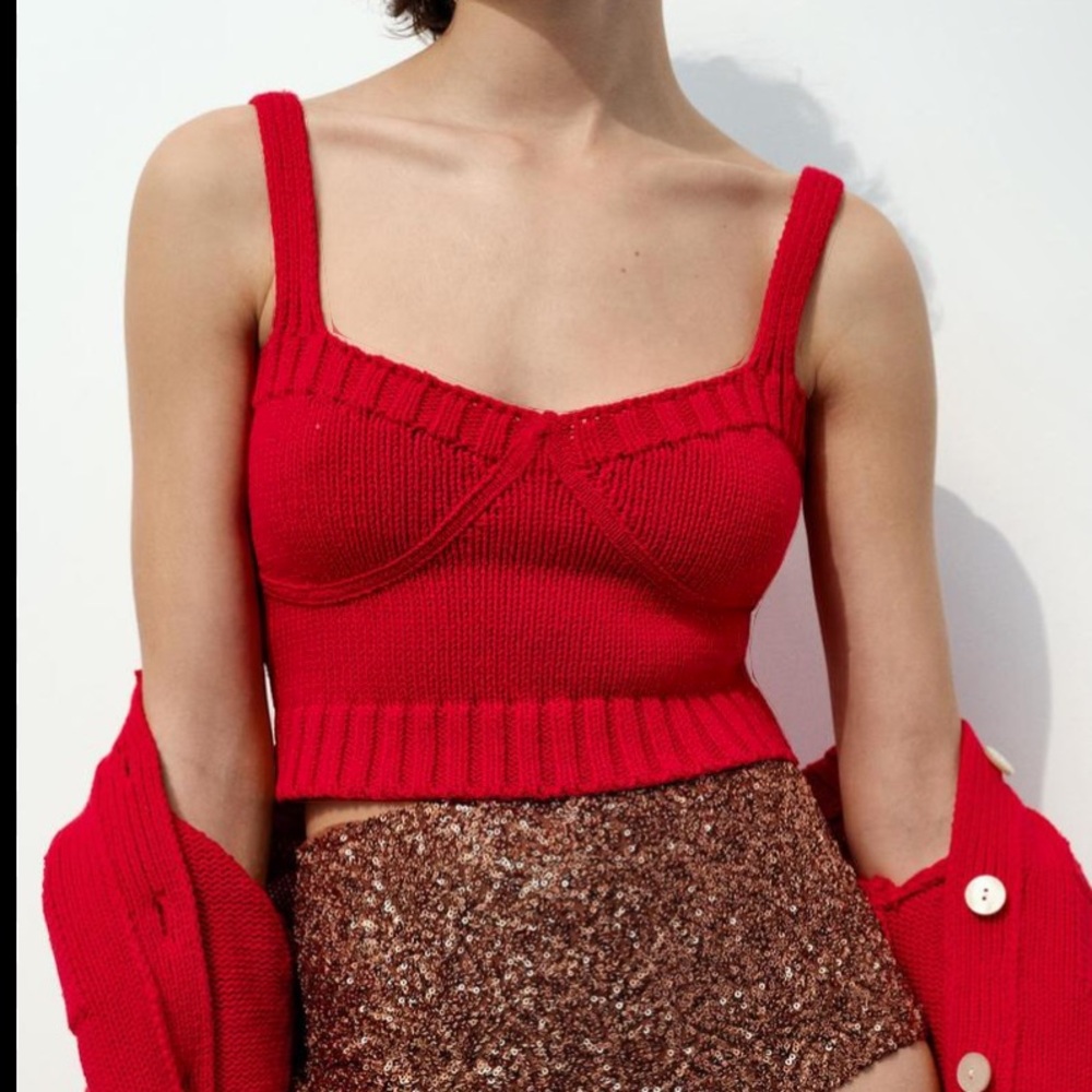 Zara Knit Crop Top
